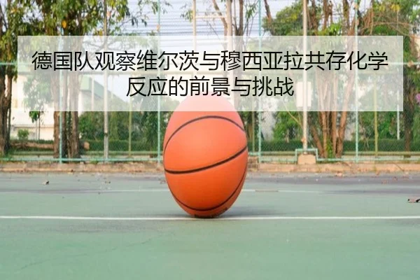德国队观察维尔茨与穆西亚拉共存化学反应的前景与挑战